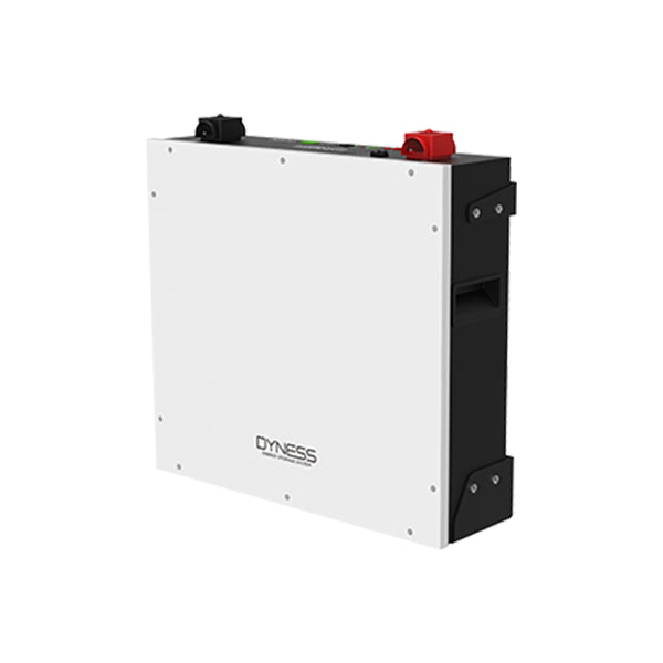 Dyness 5.12kwh DL5.0C Lithium Battery