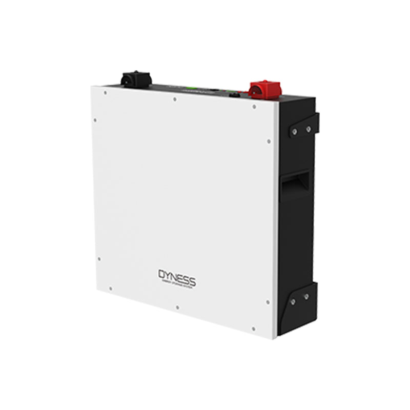 Dyness 5.12kwh DL5.0C Lithium Battery
